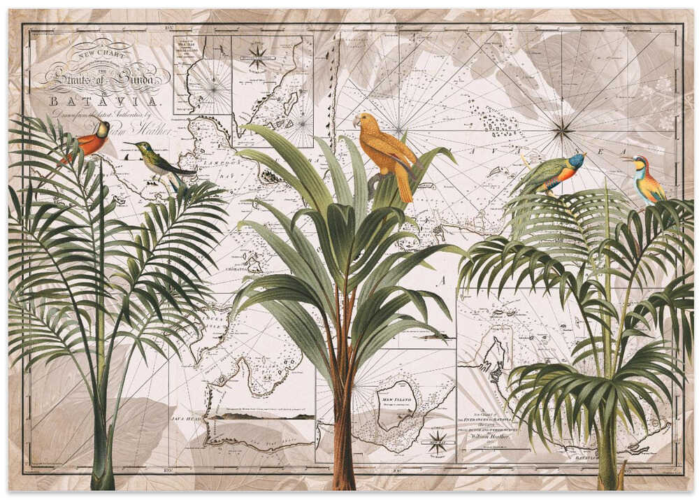 Indonesia Jungle Paradise No1