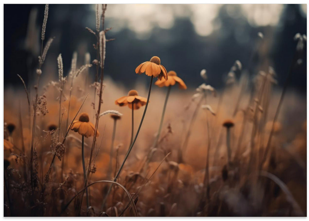 Golden Blossom Field