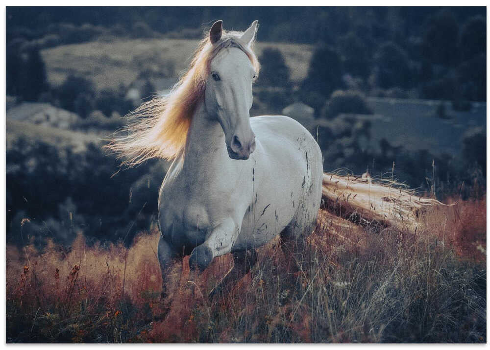 a short story about sunrise