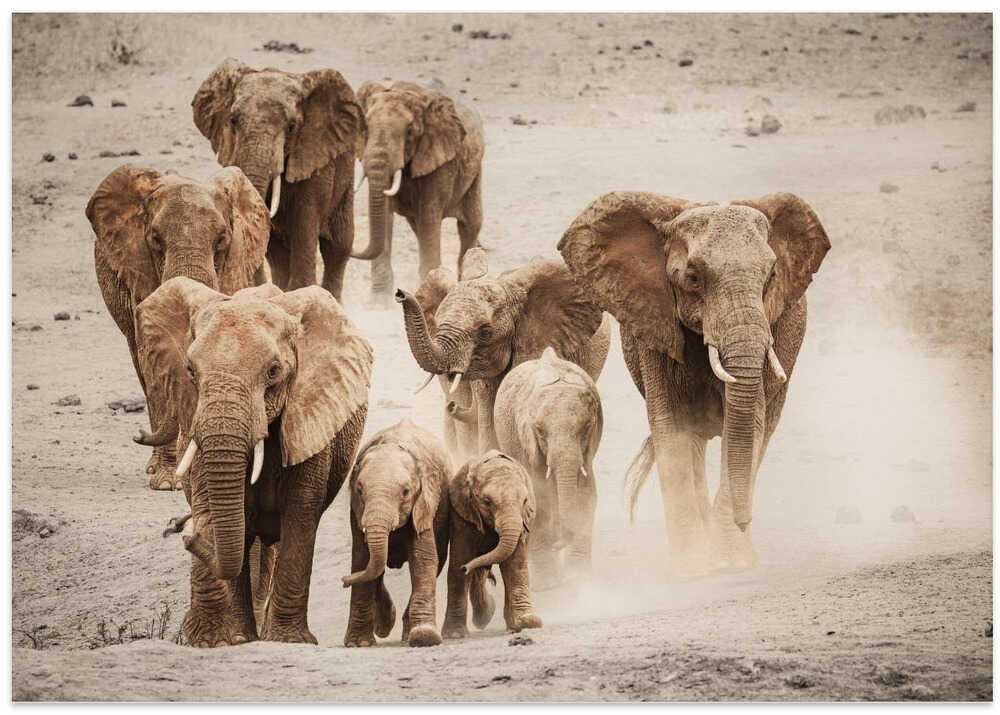 Rushing to the water!