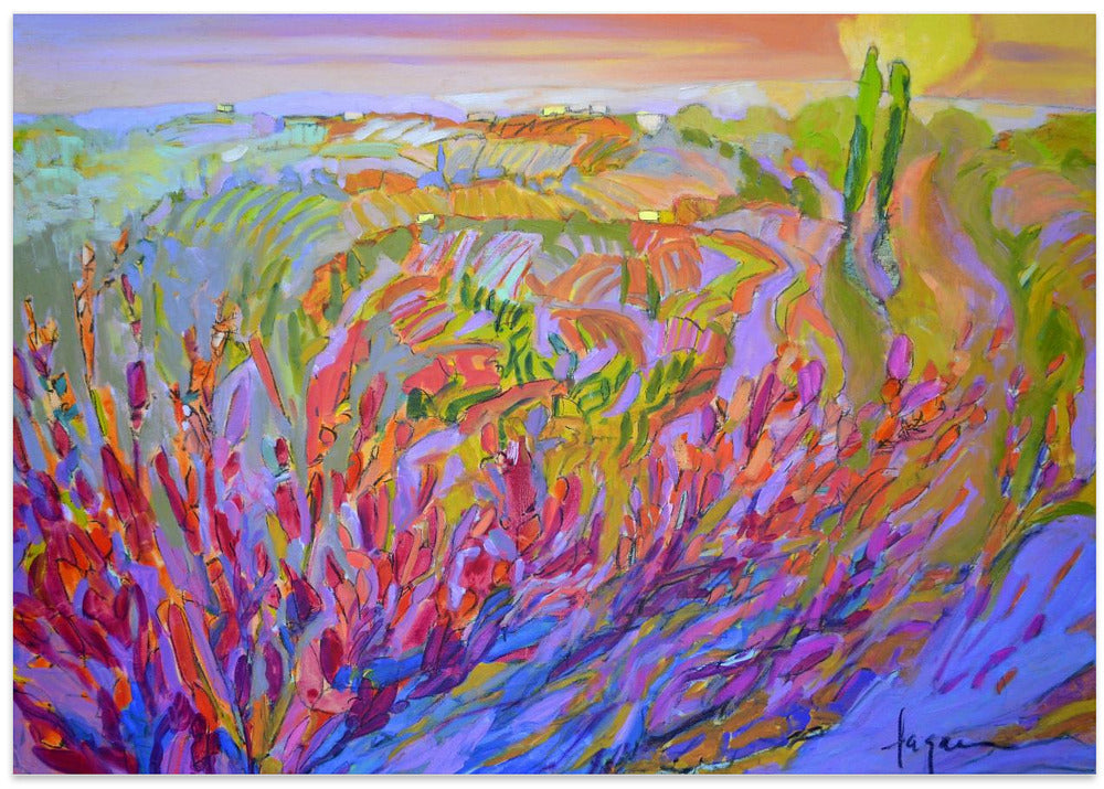 Vivid Colors And Delicate Petals