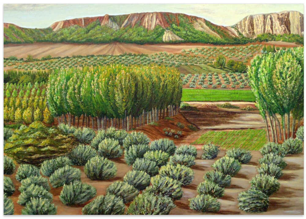 Bright Morning In Alcudia