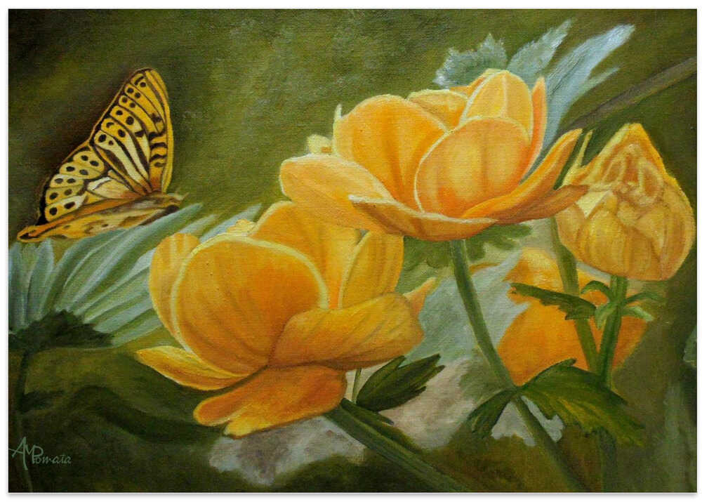 Butterfly Among Yellow Flowers