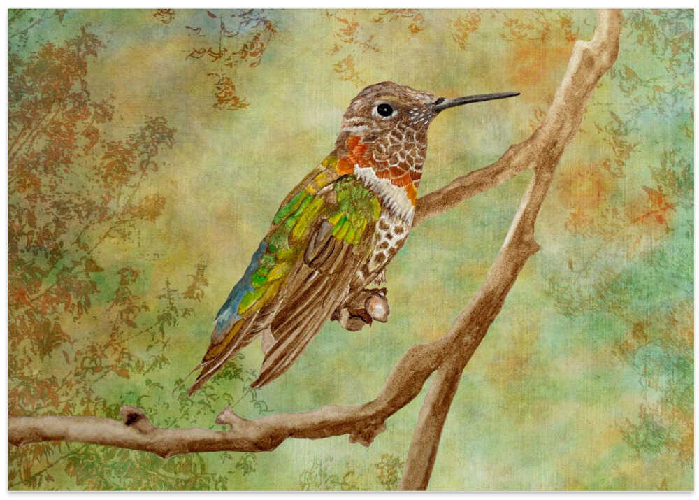 First Lights of Autumn