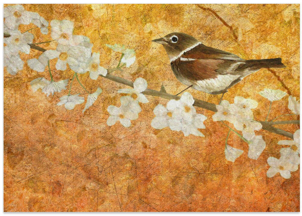 Nightingale's Solstice