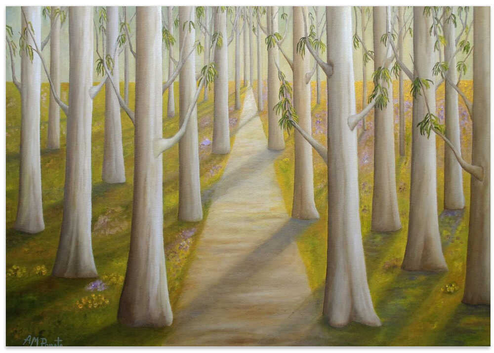 The Smooth Summer Light