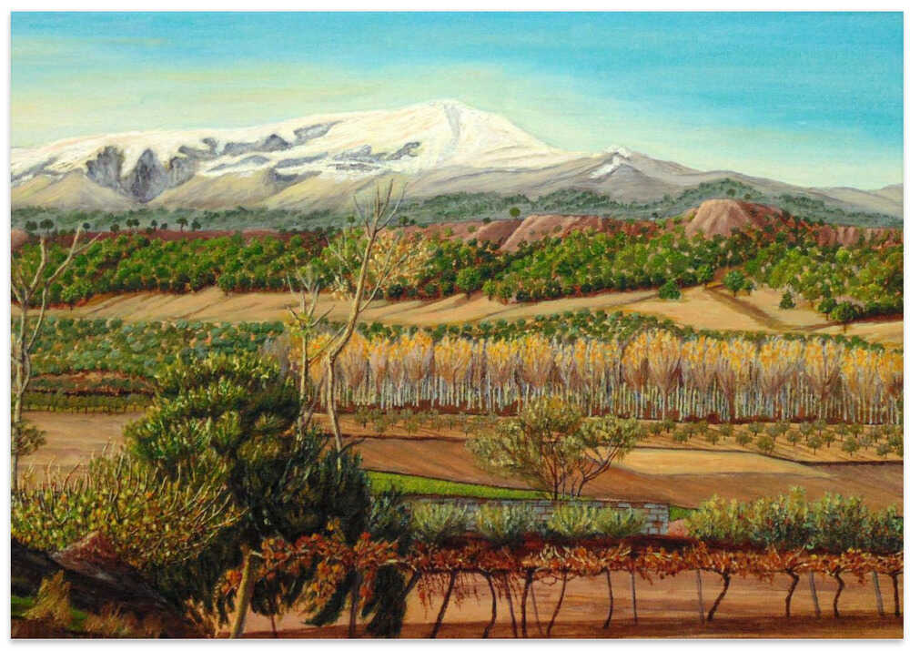 Vineyard Valley In the Sierra Nevada Surroundings