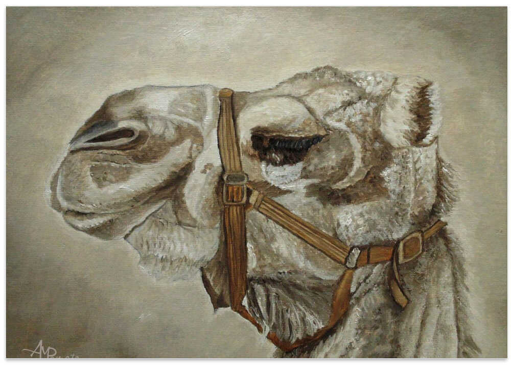 Camel Portrait