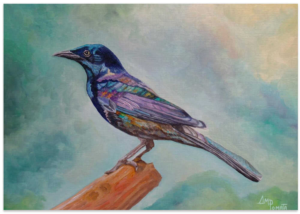 Dressed In Lights Common Grackle