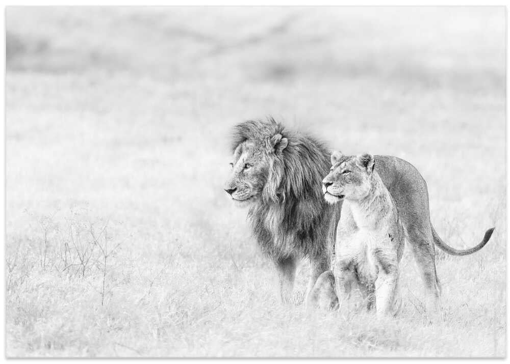 The couple in fine art