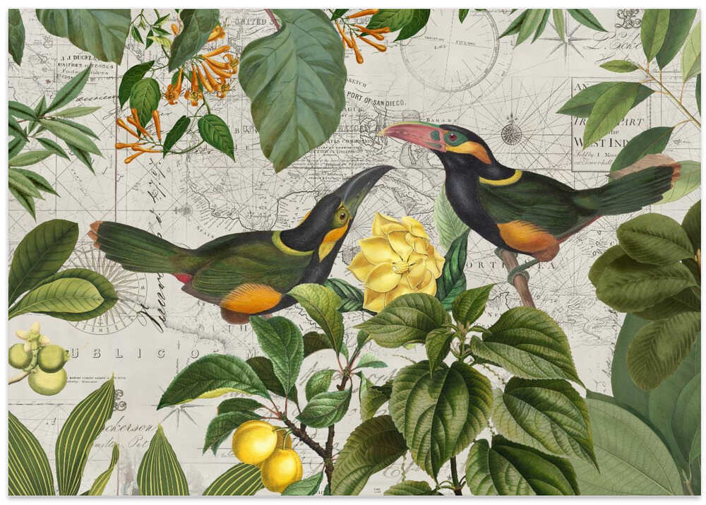 Parrots Nostalgic Journey 2