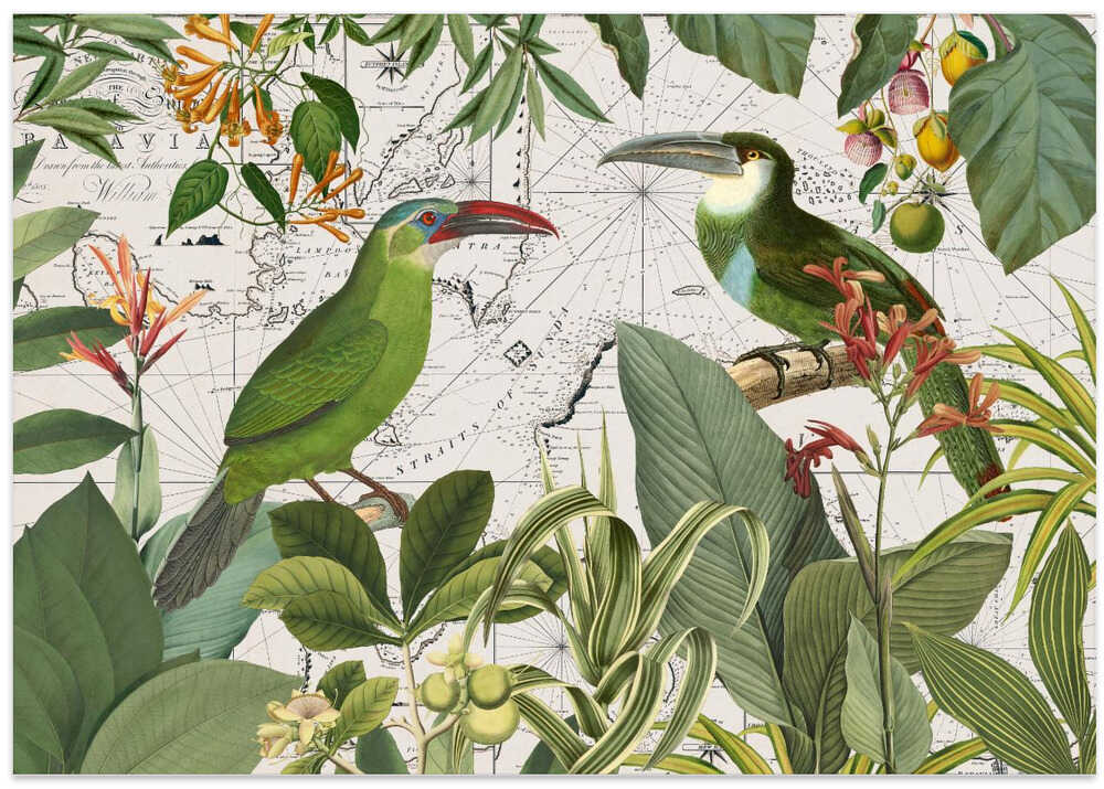 Parrots Nostalgic Journey 3