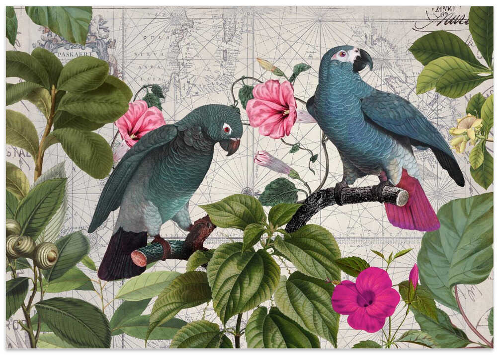 Parrots Nostalgic Journey Kopie