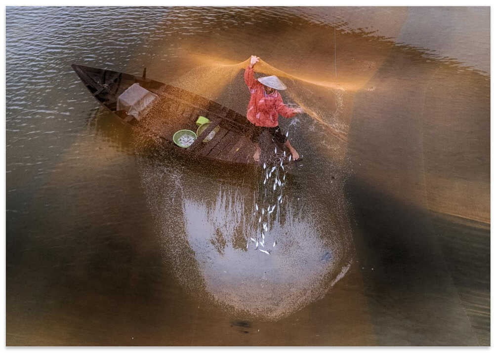 Catch Fish with Nets