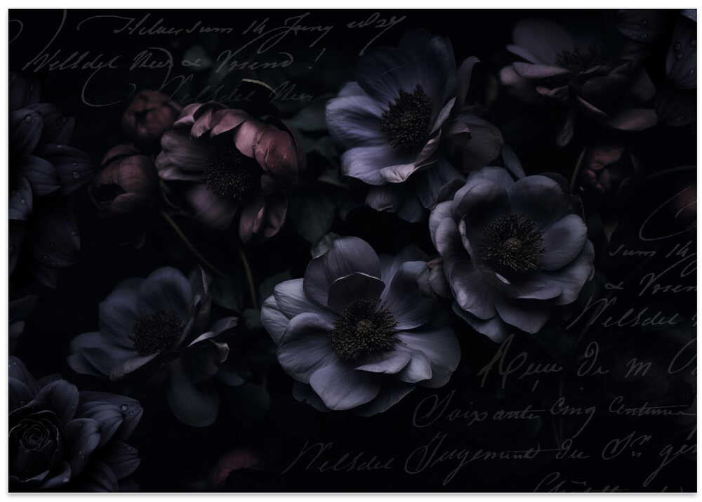 Midnight Garden Opulent Flowers