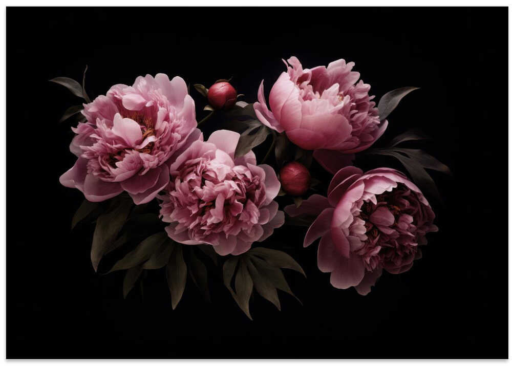 Nostalgic Mood Opulent Flowers