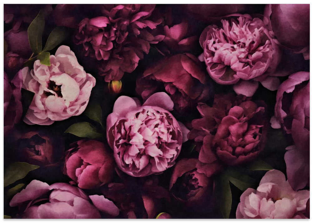 Pastel Peonies Watercolor Flowers