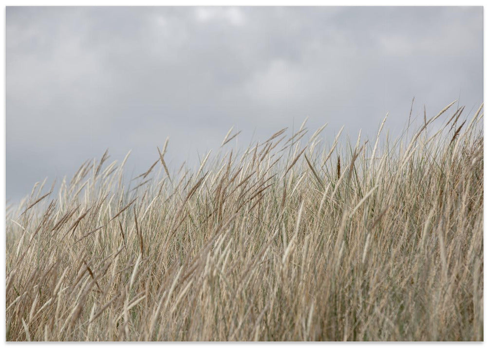 Dunes and Clouds