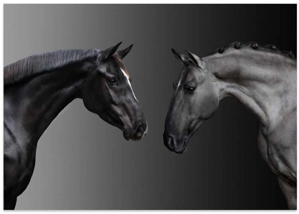 Fifty shades of gray…