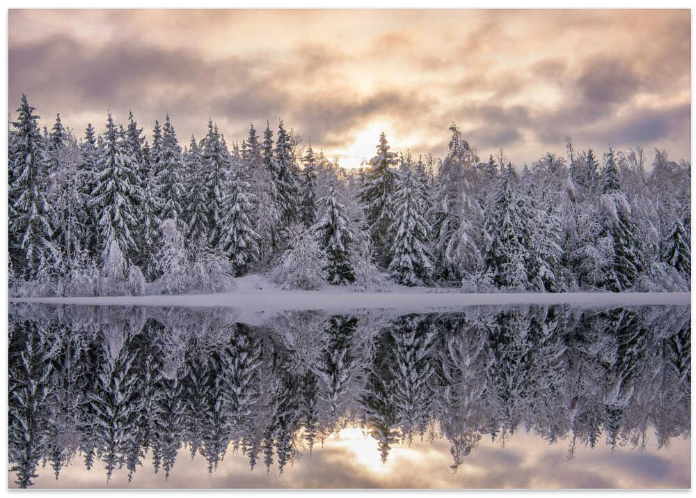 Winters reflection