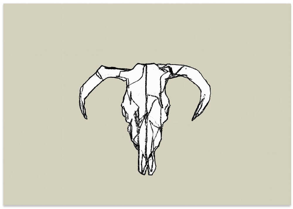 Animal Skull No2