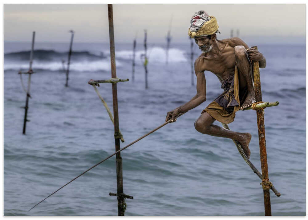 The Fish that got away!