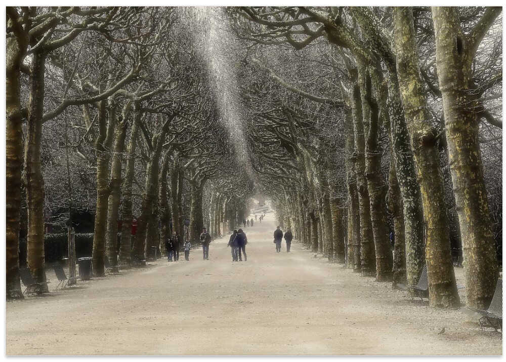 Public garden in Paris