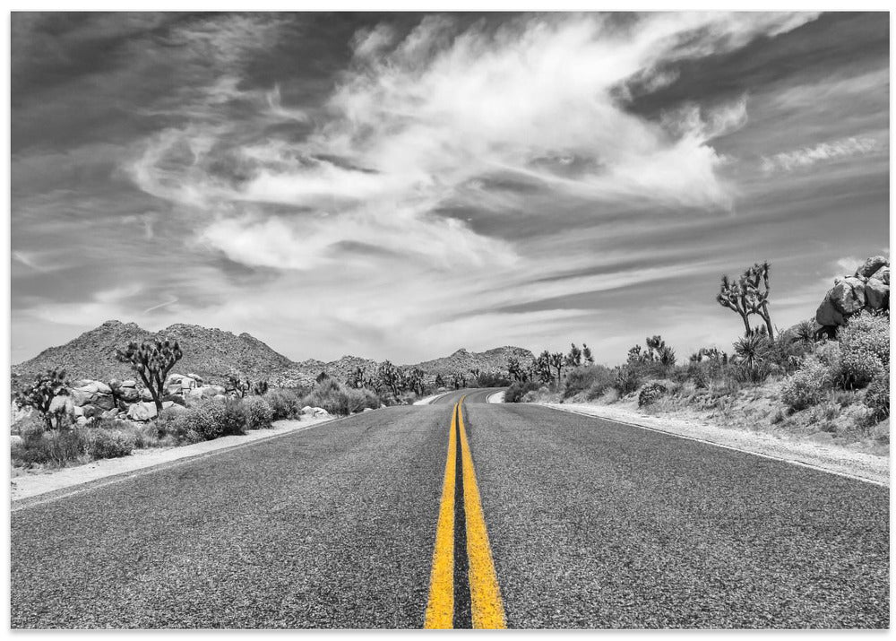 Park Boulevard, Joshua Tree National Park