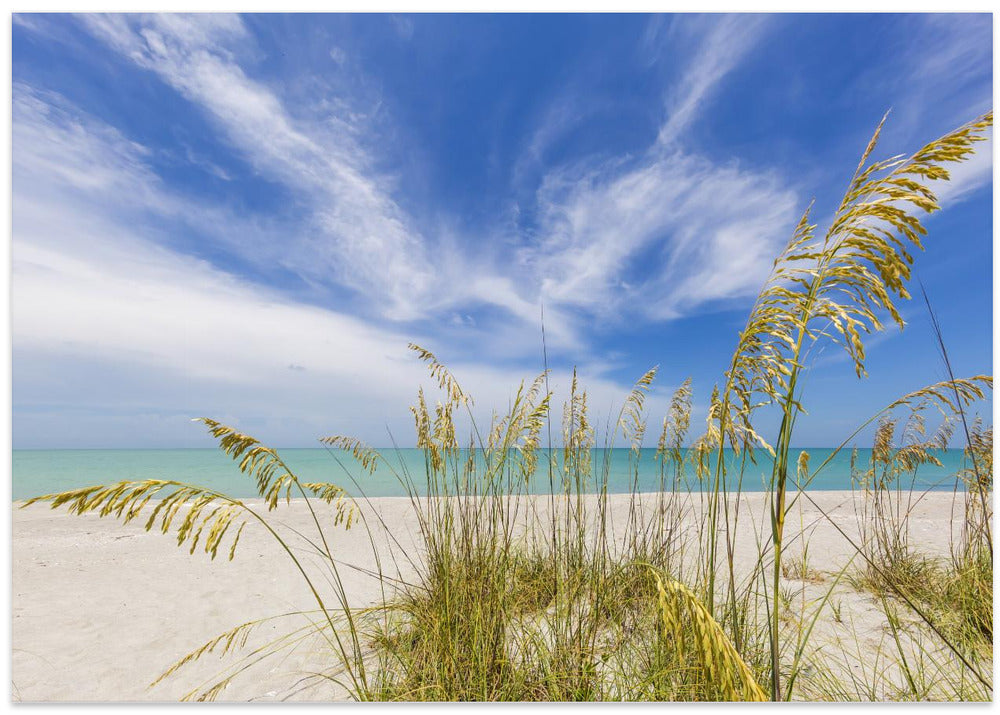 Heavenly calmness on the beach