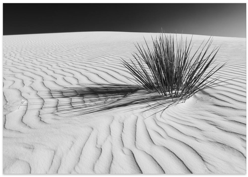 WHITE SANDS Idyllic scenery | Monochrome