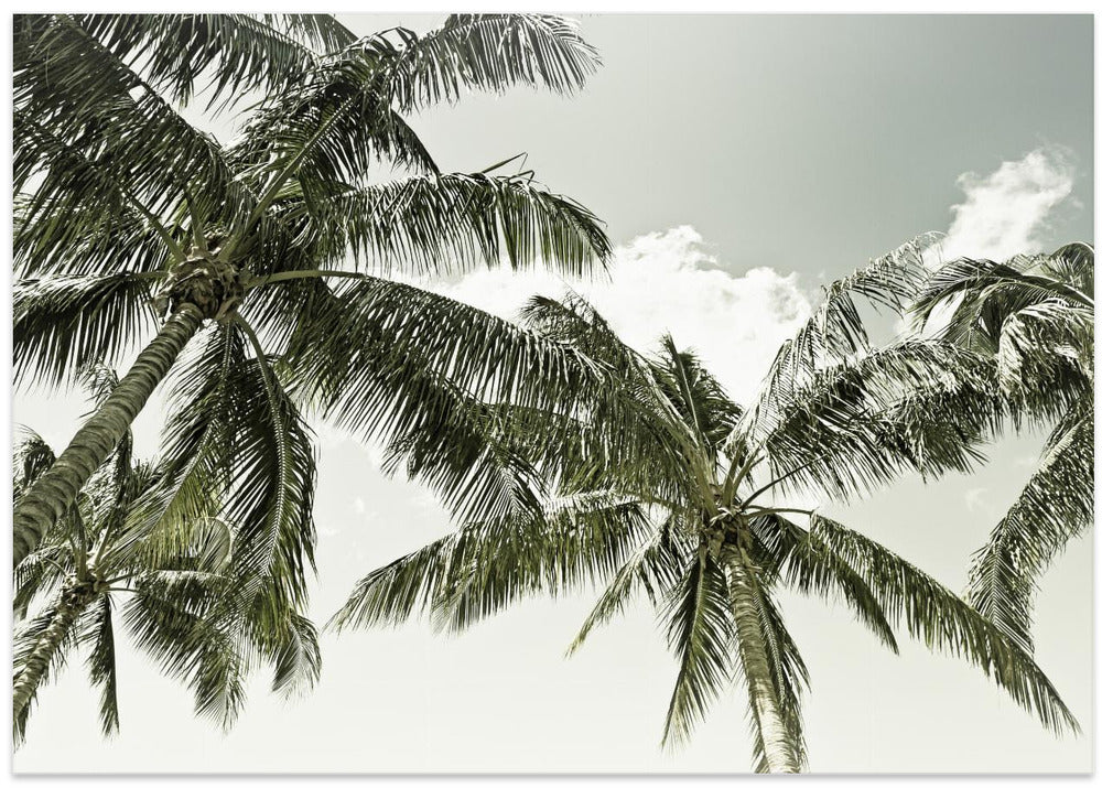 Vintage Palm Trees