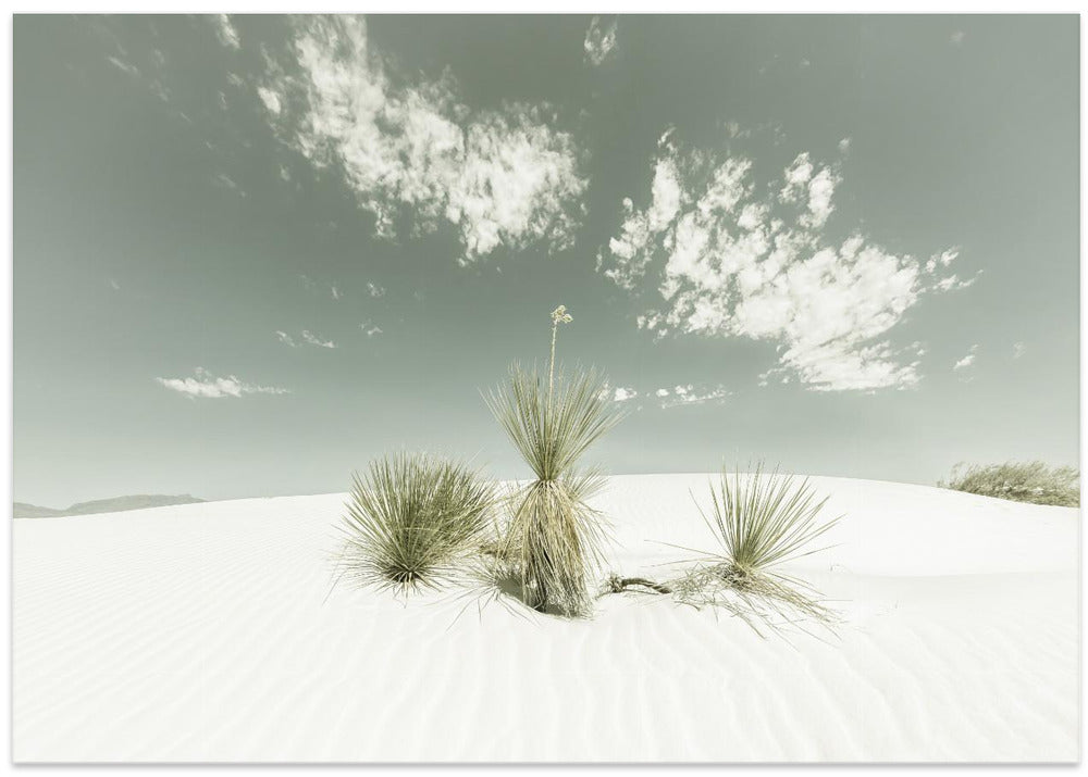 WHITE SANDS Vintage