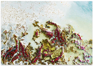 Art Prints of Scarlet Dance