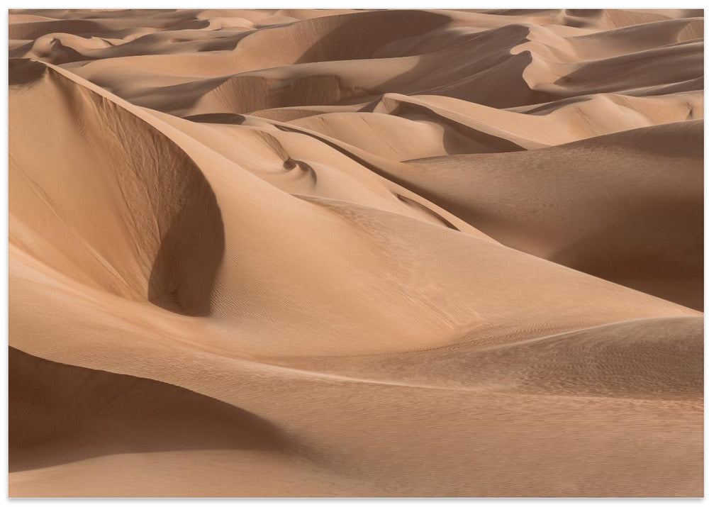 Sea of sand dunes
