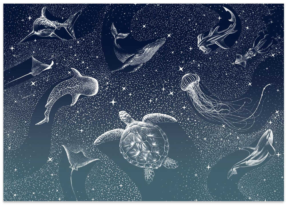 Cosmic Ocean Turquoise Grad