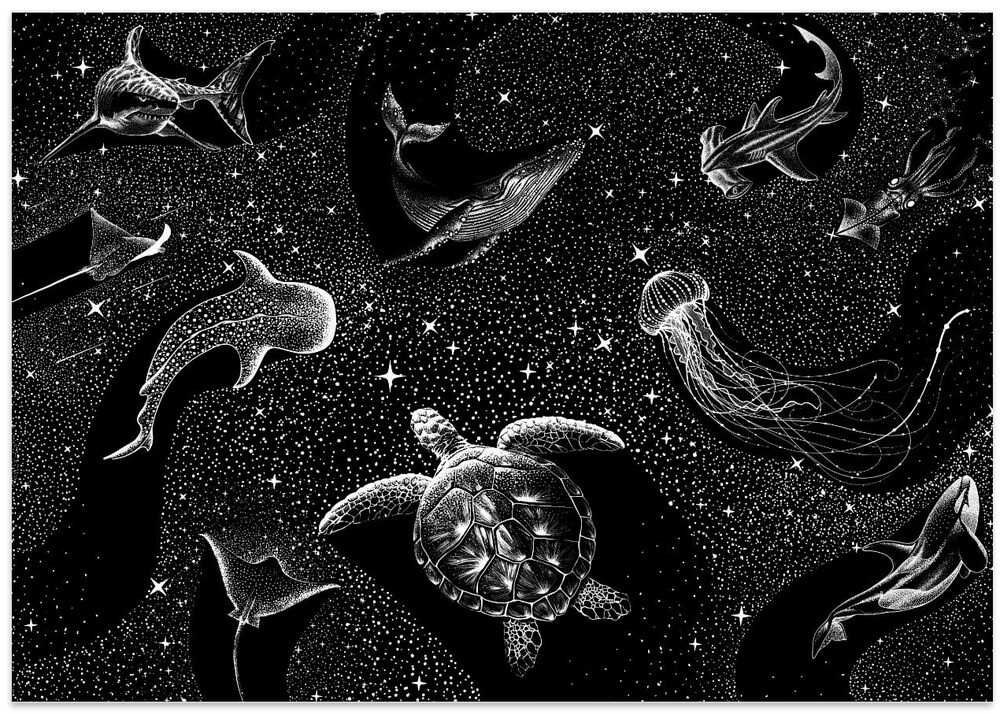 Cosmic Ocean (Black Version)