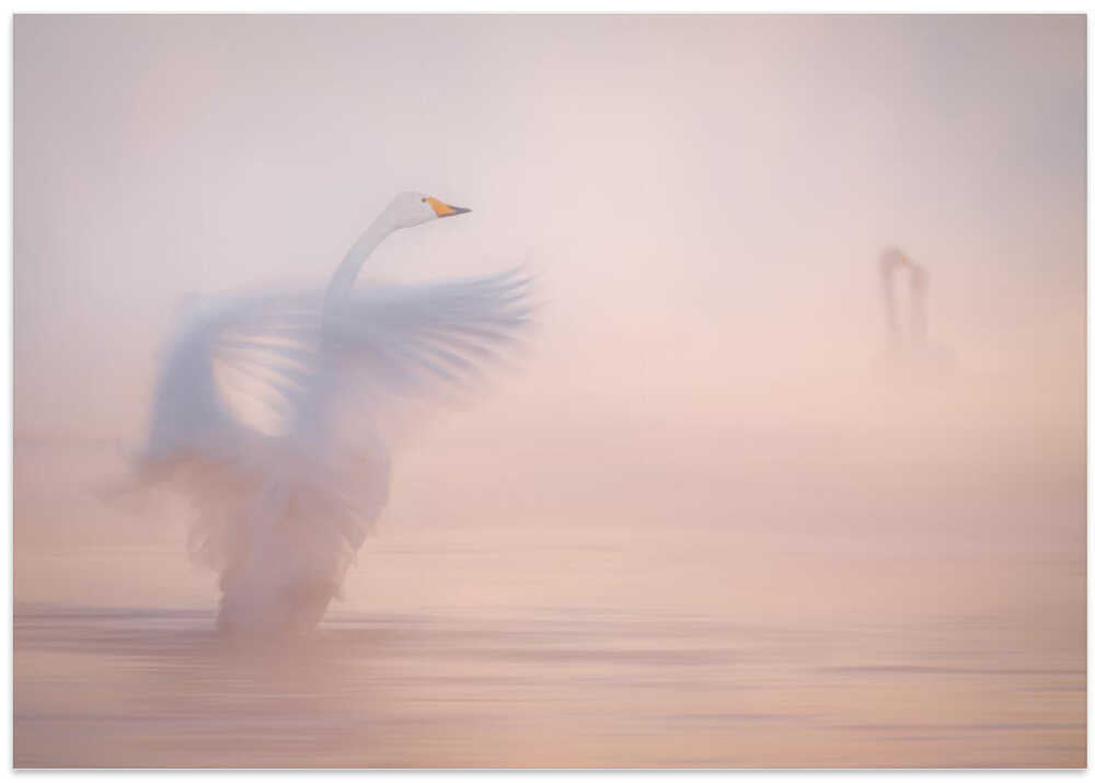 The ephemerality of distant love...