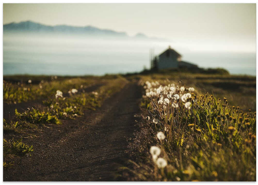 Home is where your heart is