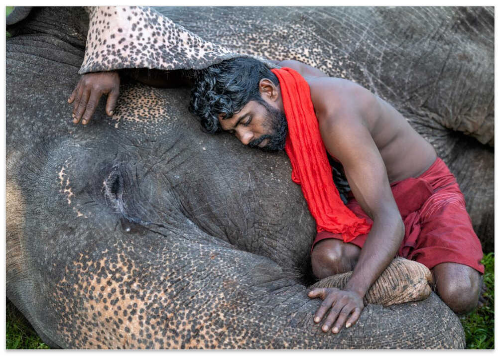 Tears of Joy or Fatigue