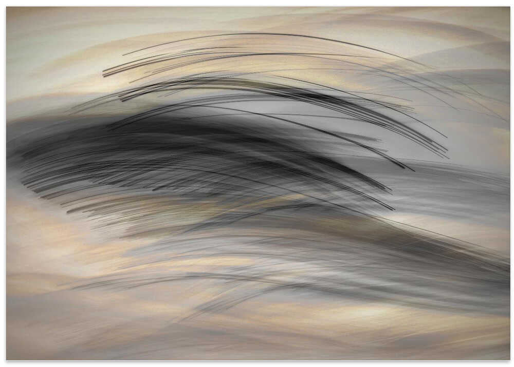 The Languages of lines