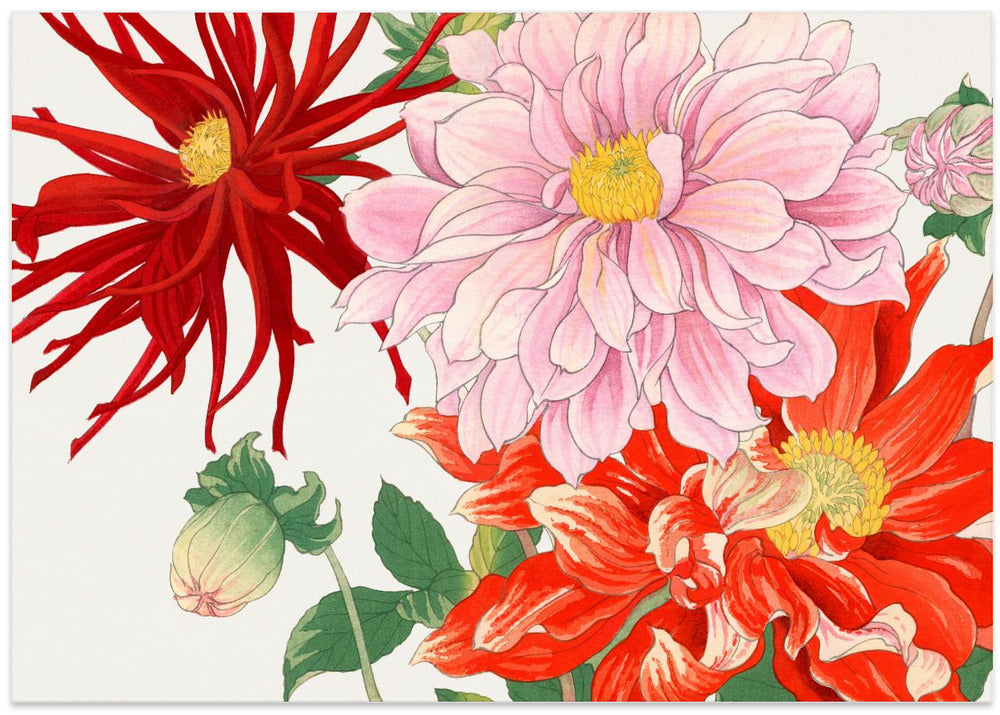Dahlia Flower No.2