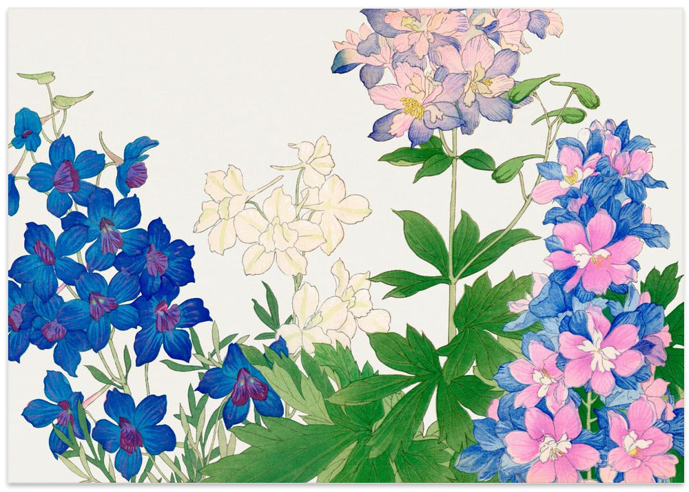 Delphinium Flower No.2