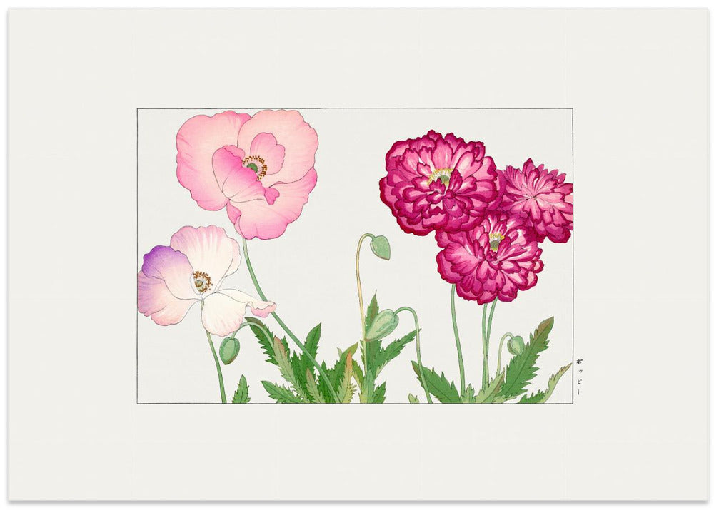 Vintage Poppy Flower No.1