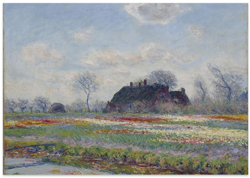 Claude Monet's Tulip Fields At Sassenheim, (1886)
