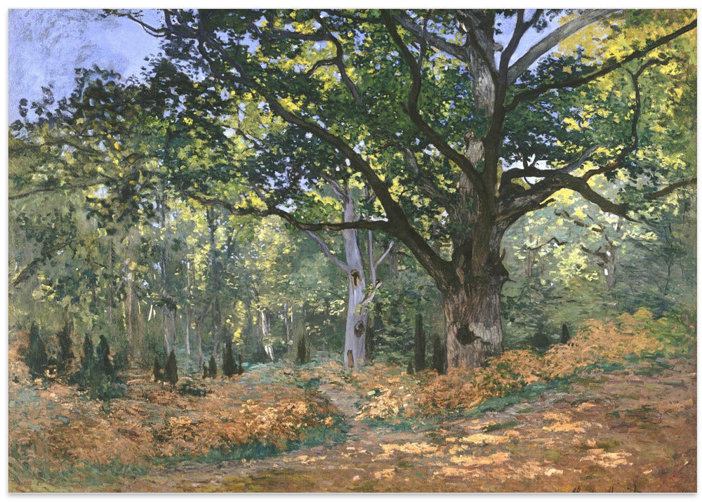The Bodmer Oak, Fontainebleau Forest (1865) By Claude Monet
