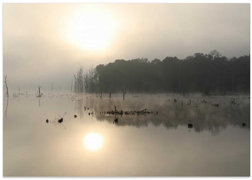 Misty Lake Dawn