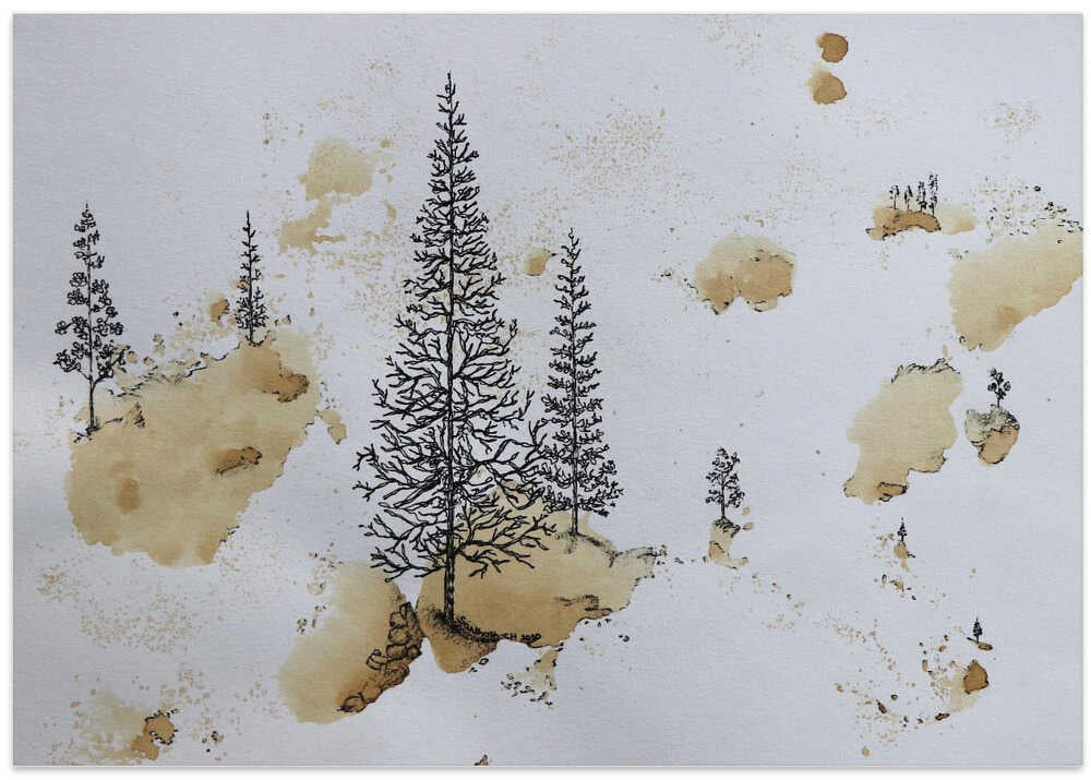 Misty Forest Impressions