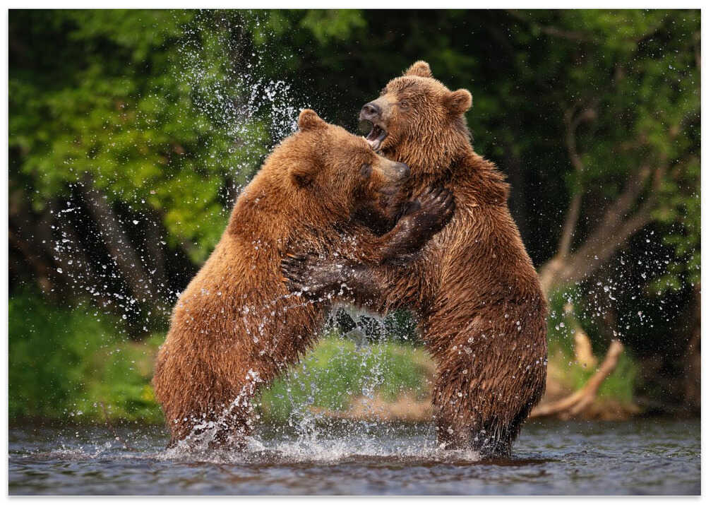 Tango on the river...
