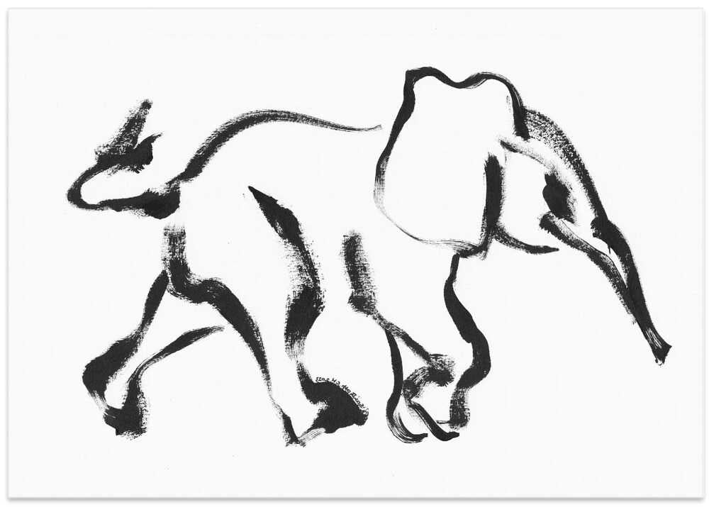 Elegant Elephant Strokes