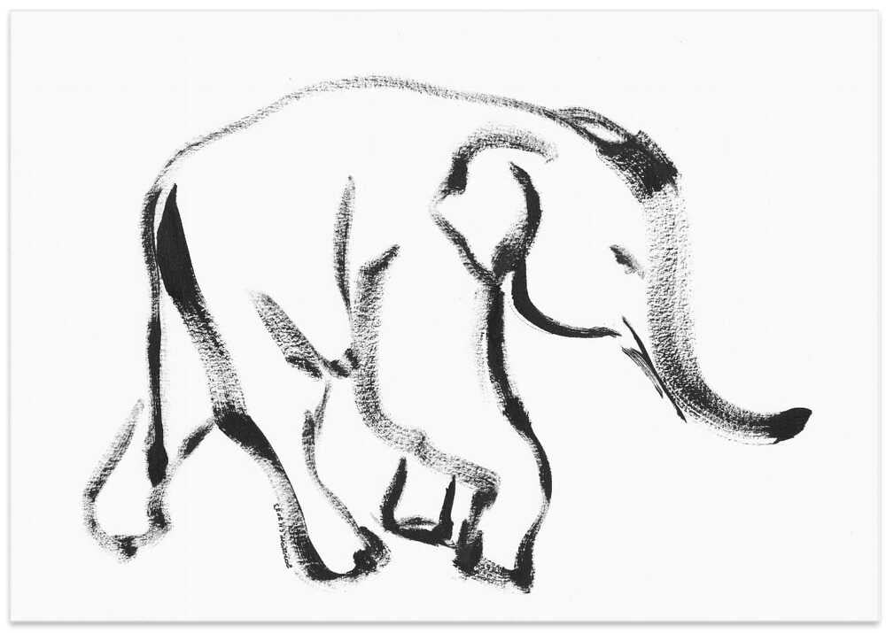 Gentle Elephant Stroll